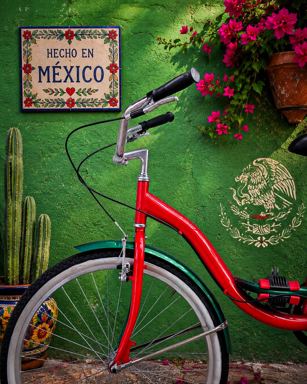 Bicicleta México Edición Mundial