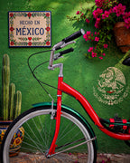 Bicicleta México Edición Mundial