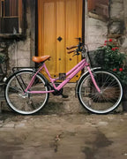 Bicicleta Urbana Clásica 3 Colores y Personalizacion