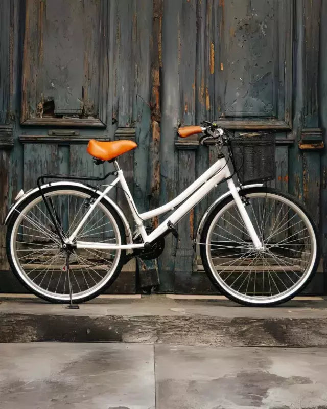 Bicicleta Urbana Clásica 3 Colores y Personalizacion