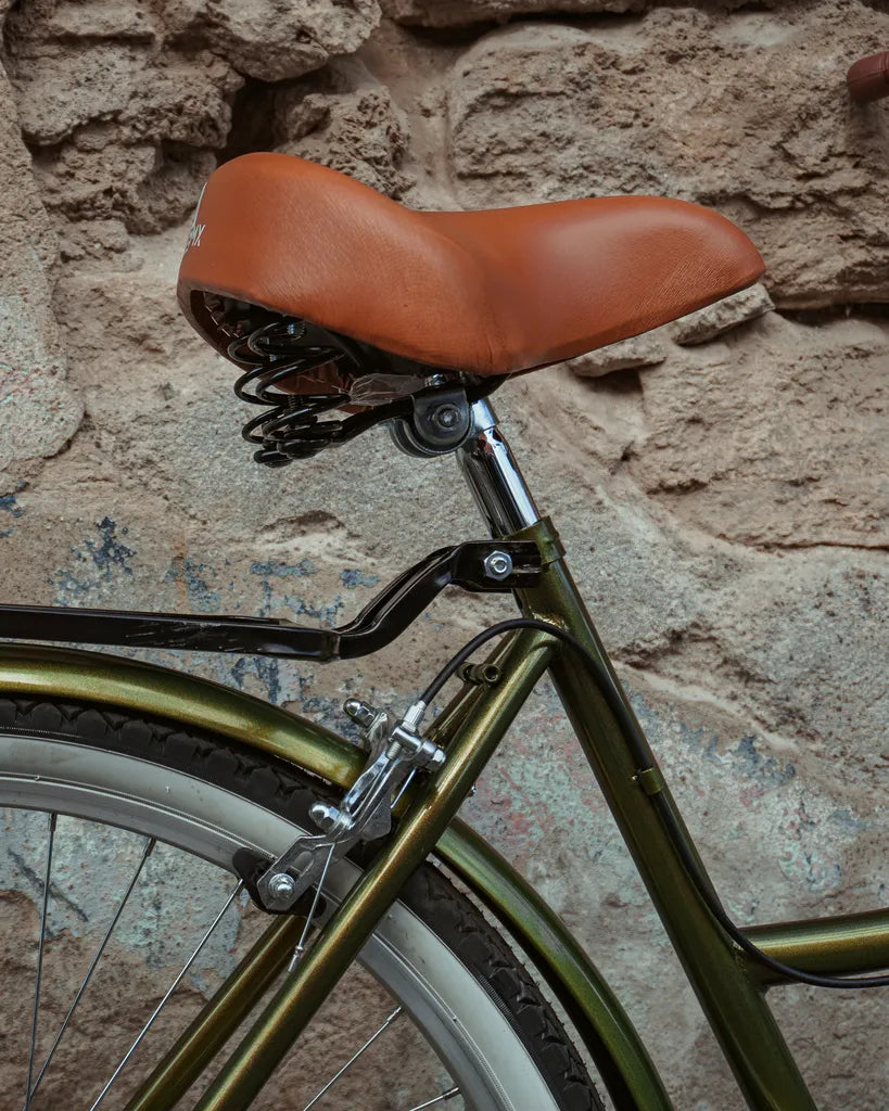 Bicicleta Vintage Urbana Cactus MyBikeMx