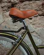 Bicicleta Vintage Urbana Cactus MyBikeMx