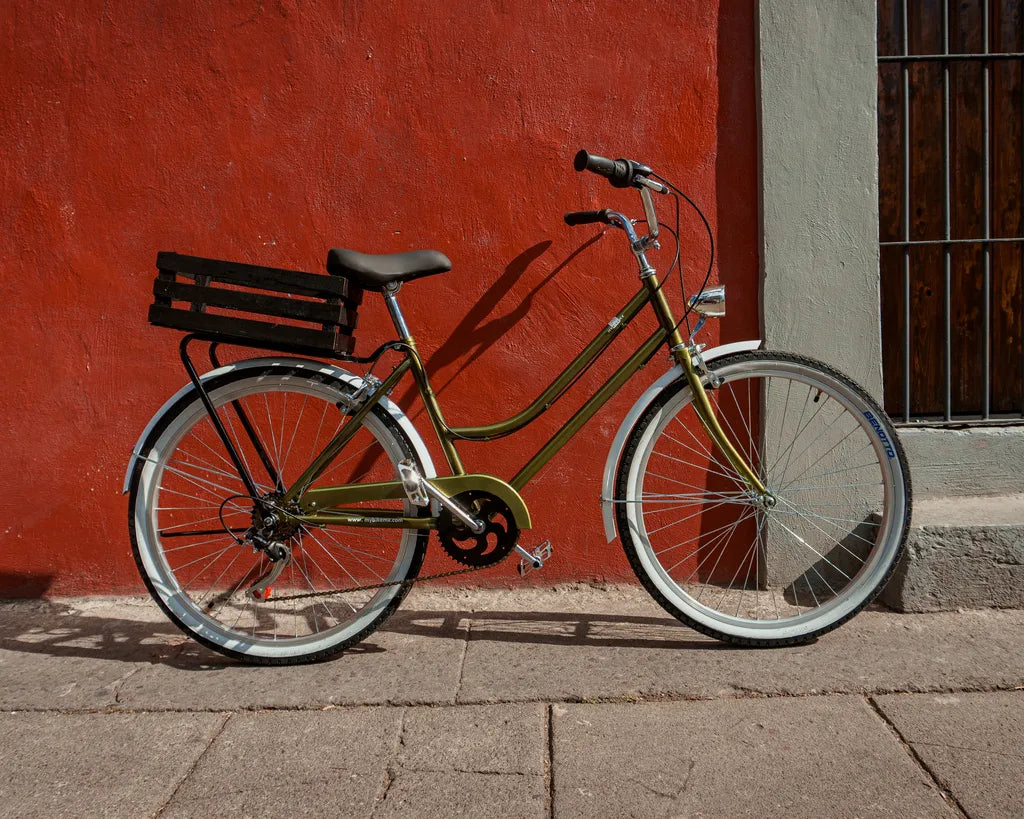 Bicicleta Vintage Urbana Cactus MyBikeMx