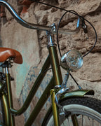 Bicicleta Vintage Urbana Cactus MyBikeMx