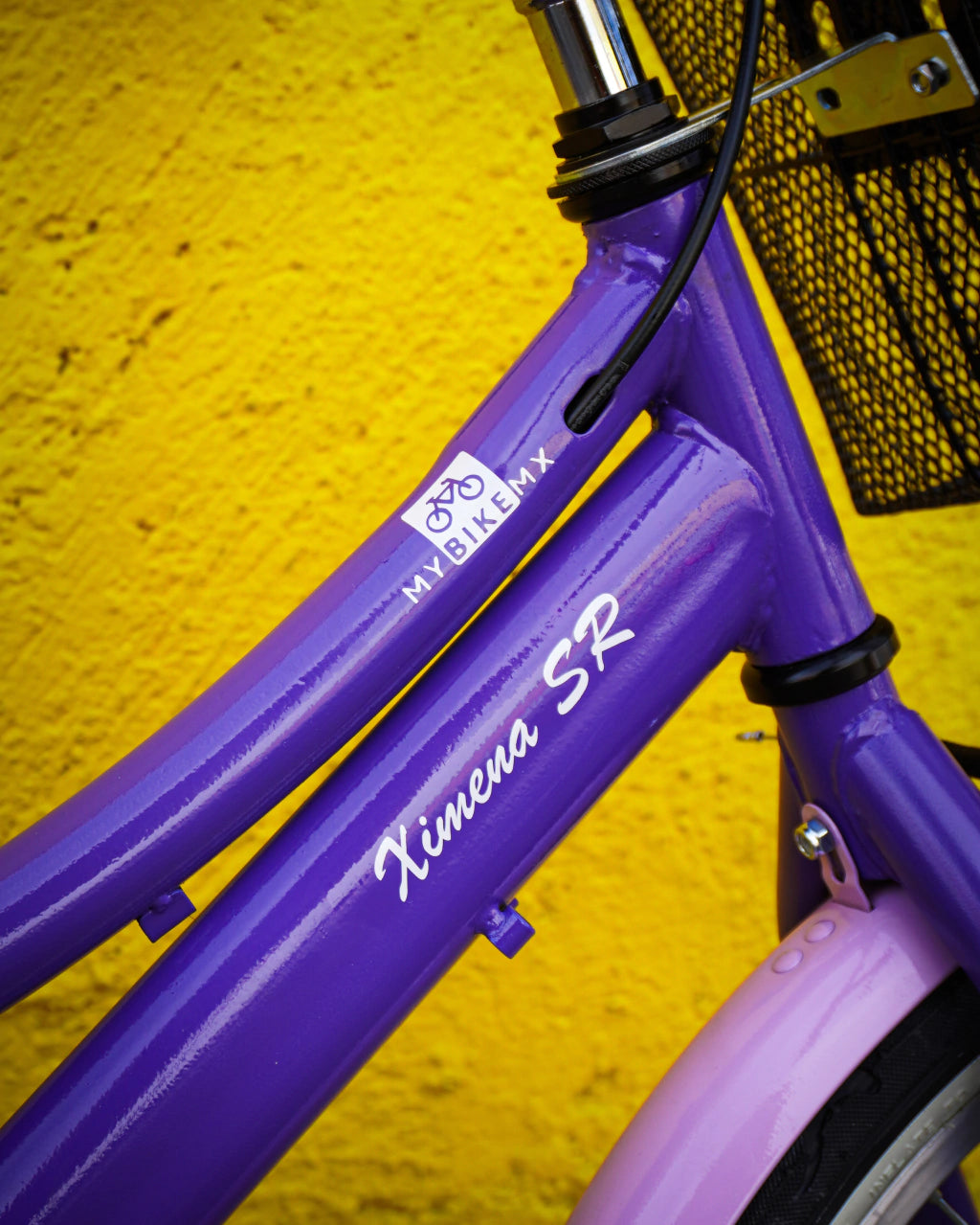 Bicicleta Infantil con Portamuñecas Lavanda de Verano
