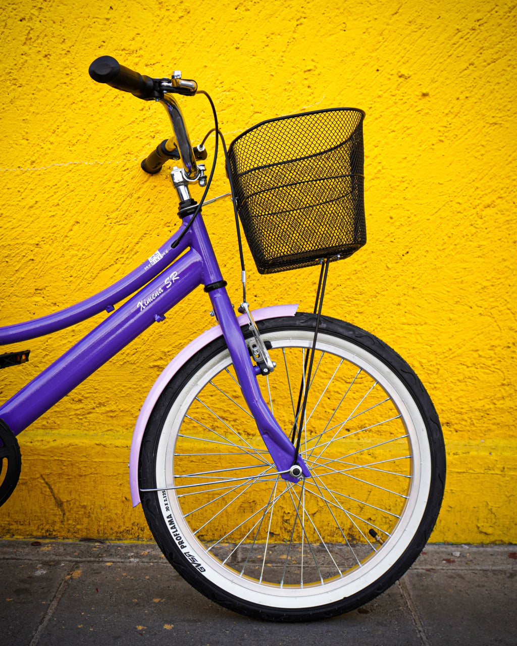 Bicicleta Infantil con Portamuñecas Lavanda de Verano