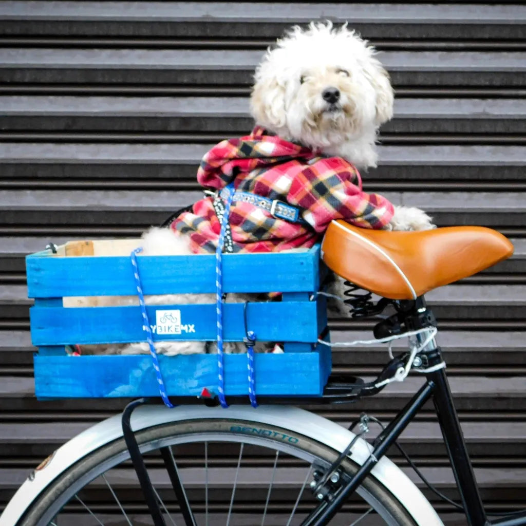 Caja de Carga Trasera para Bicicleta Madera en Colores con Liga de Ajuste Mybikemx