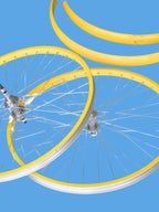 Kit Salpicaderas y Rines Piñon Libre Colores Para Bicicleta Todas las Medidas