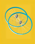 Rines Colores Para Bicicleta Todas las Medidas Delantero y Trasero MyBikeMx