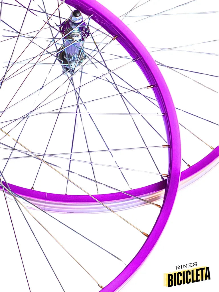 Rines Colores Para Bicicleta Todas las Medidas Delantero y Trasero MyBikeMx