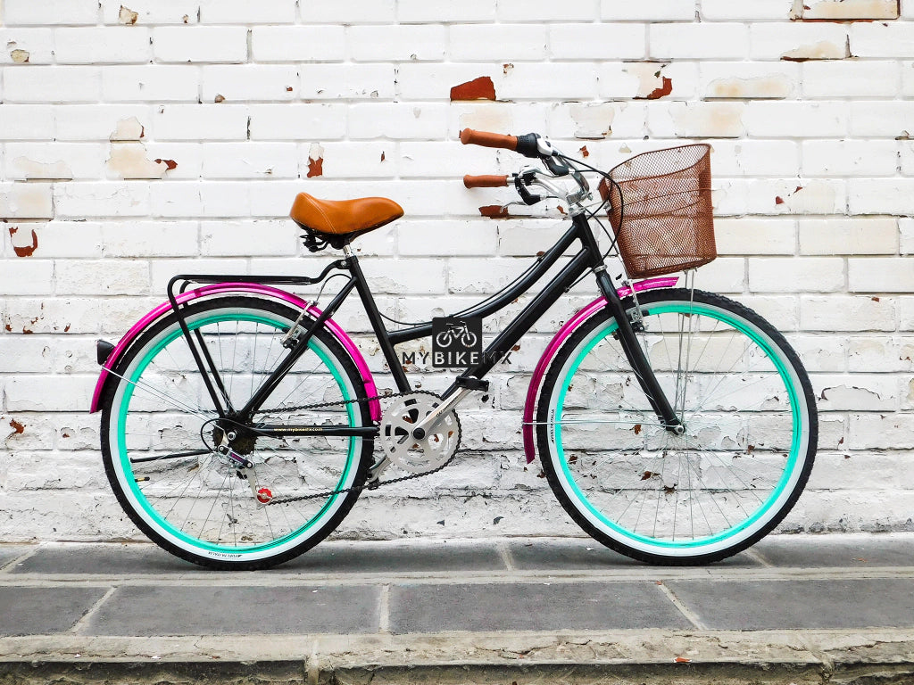 Bicicleta Vintage Urbana Colibrí