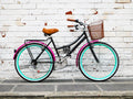 Bicicleta Vintage Urbana Colibrí