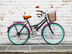 Bicicleta Vintage Urbana Colibrí