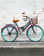 Bicicleta Vintage Urbana Colibrí