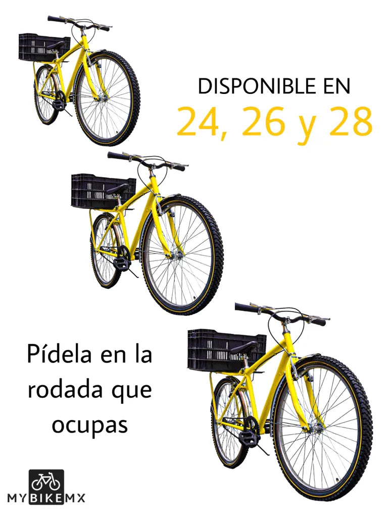 Bicicleta Delivery Para Carga Pesada MyBikeMx