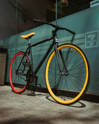 Bicicleta Ultraligera Urban Snake